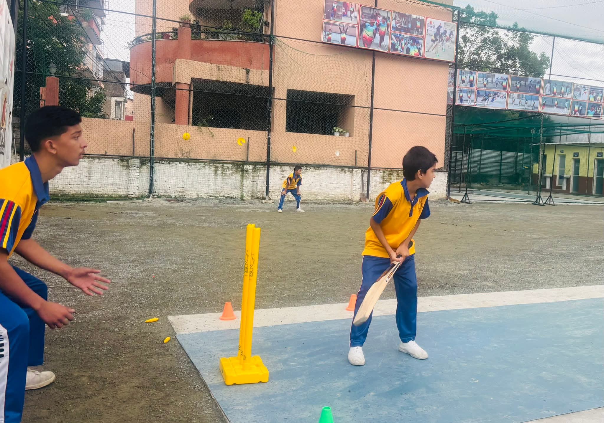 Cricket